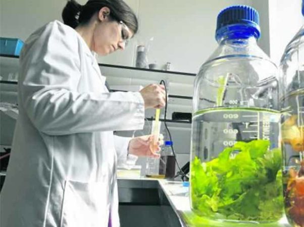 ALGAIA CONTRIBUTES TO EU PROJECT SPIRALG