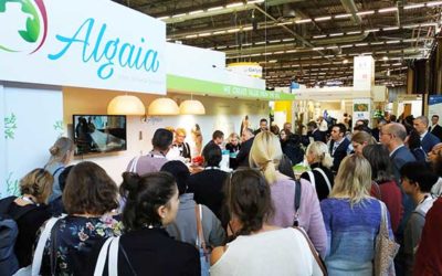 OVERWHELMING SUCCESS FOR ALGAIA AT FIE 2019