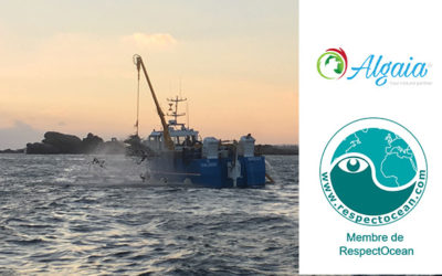 ALGAIA BECOMES A MEMBER OF RESPECT OCEAN