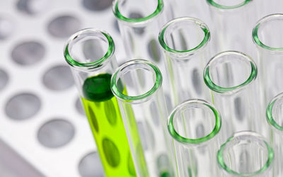 ALGAIA PARTICIPATES TO A STUDY ON THE EFFECT OF SEAWEED-BASED BIOACTIVES AGAINST OBESITY AND TYPE 2 DIABETES