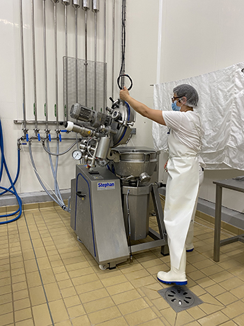Essai-processed cheese