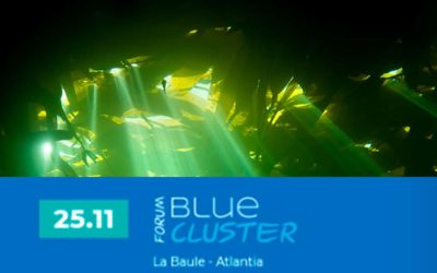 Algaia participe aux Rendez-Vous des Biotechs Bleues à La Baule, France