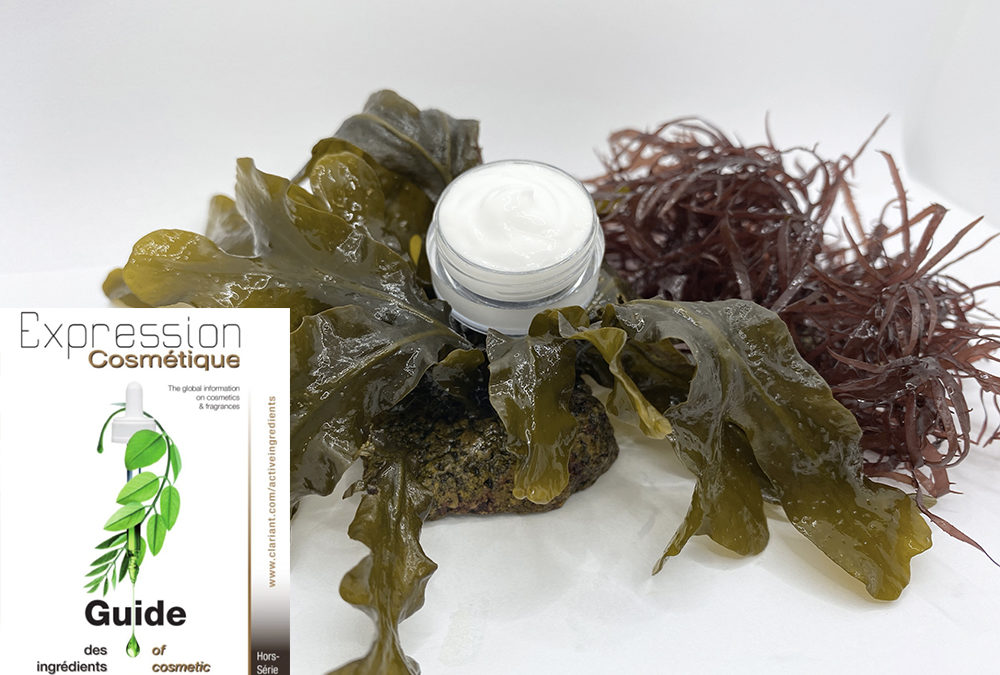 At the heart of algae for natural textures