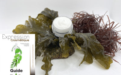 At the heart of algae for natural textures