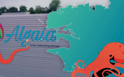 New video about Algaia Biorefinery strategy