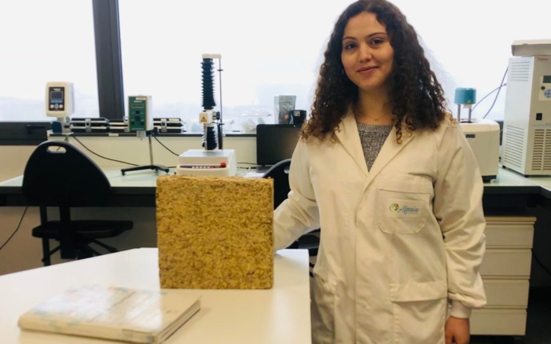 Algaia héberge une étudiante en thèse à l’ESITC travaillant sur les matériaux isolants à base d’algues