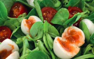 RECIPE OF THE MONTH – VEGETABLE BURRATA