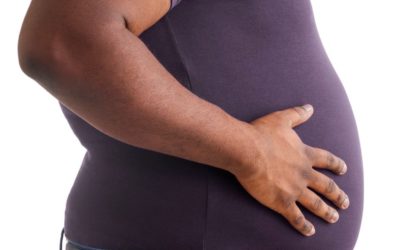 FIGHTING OBESITY WITH SEAWEED