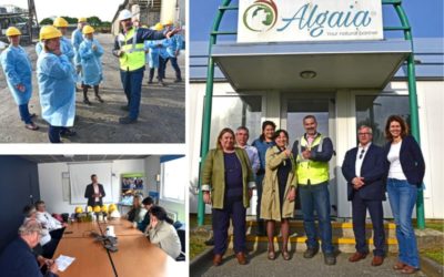 EU COMMISSION’S DGMARE VISITS AT ALGAIA LANNILIS