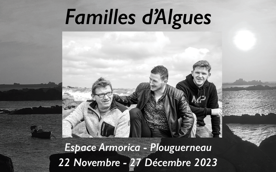 EXPO PHOTO « FAMILLES D’ALGUES » À L’ESPACE ARMORICA DE PLOUGUERNEAU