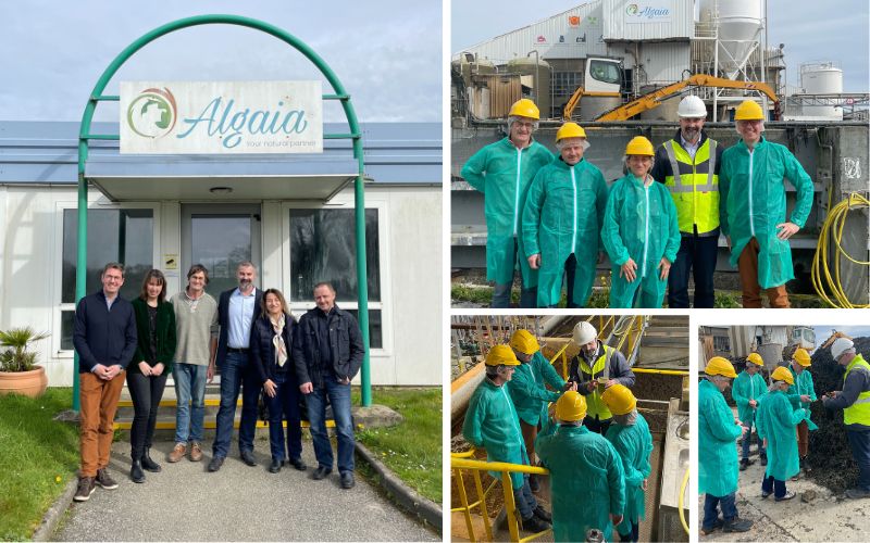 EU Commission’s DG MARE visits Algaia Lannilis