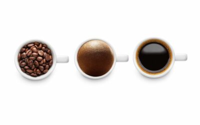 Seaweed from the Iroise Sea revolutionize the coffee pod