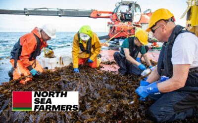 North Sea Farm 1: Première récolte d’algues terminée